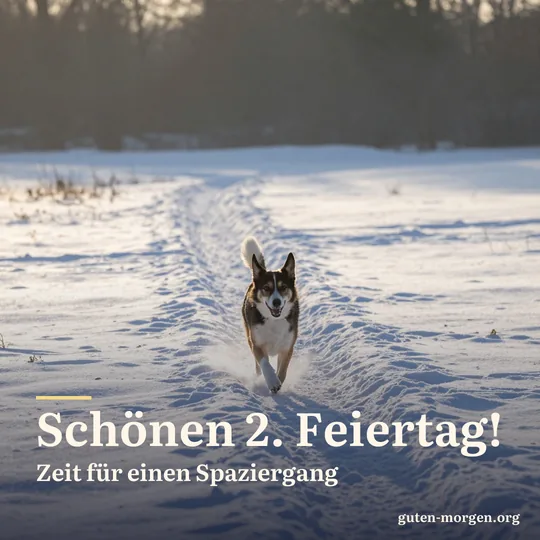 Ein fröhlicher Hund springt bei Sonnenaufgang durch frischen Schnee auf einem Feldweg, der Schnee stiebt auf, lange Schatten in weiter Winterlandschaft; Schrift: „Schönen 2. Feiertag! Zeit für einen Spaziergang“