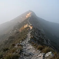 Bergpfad im Morgennebel