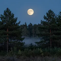 Vollmond über dem Tal