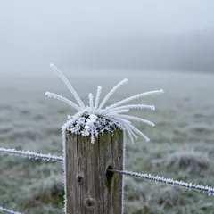 Winter: Raueis am Zaunpfahl